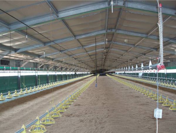 家禽舍鋼結(jié)構(gòu)造價(jià)